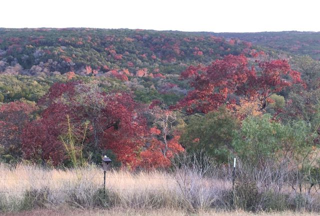 12516 Wire Road, Leander, TX 78641