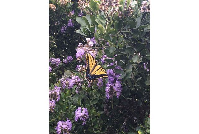 12516 Wire Road, Leander, TX 78641