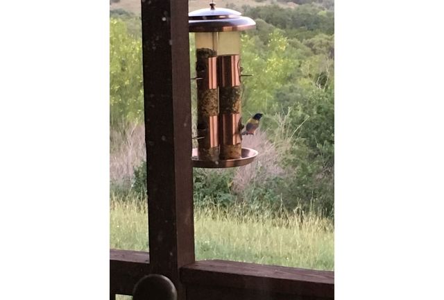 12516 Wire Road, Leander, TX 78641