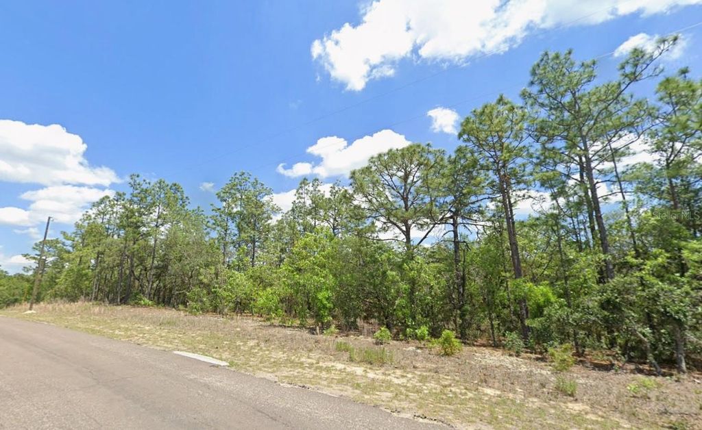 Image 2 of property listing at 9313 N HAWKWEED DRIVE, Citrus Springs, FL 34433