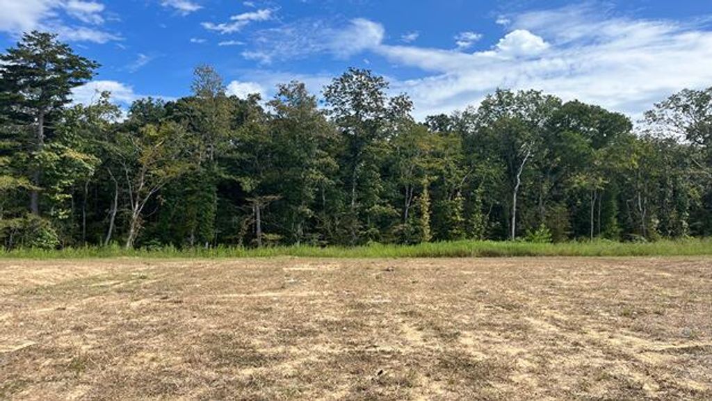 454 Tulip Poplar Drive, Moncks Corner, SC 29461