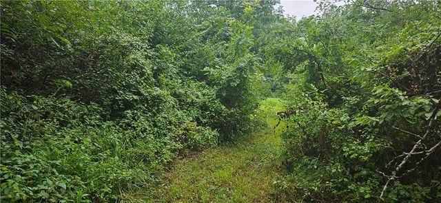 13508 E 264th Street, Peculiar, MO 64078