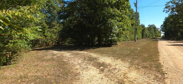 951 E County Road 206, Alton, MO 65606