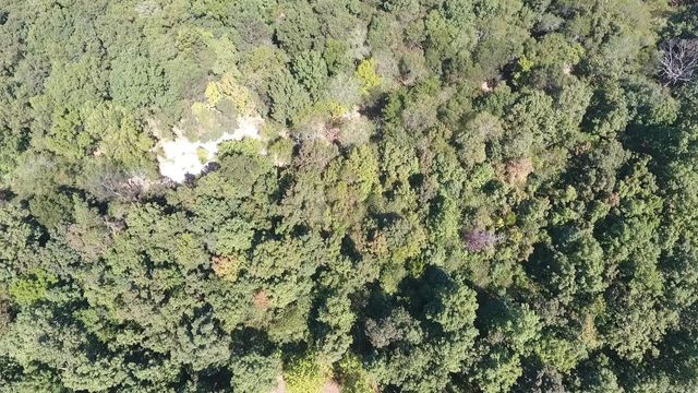 951 E County Road 206, Alton, MO 65606