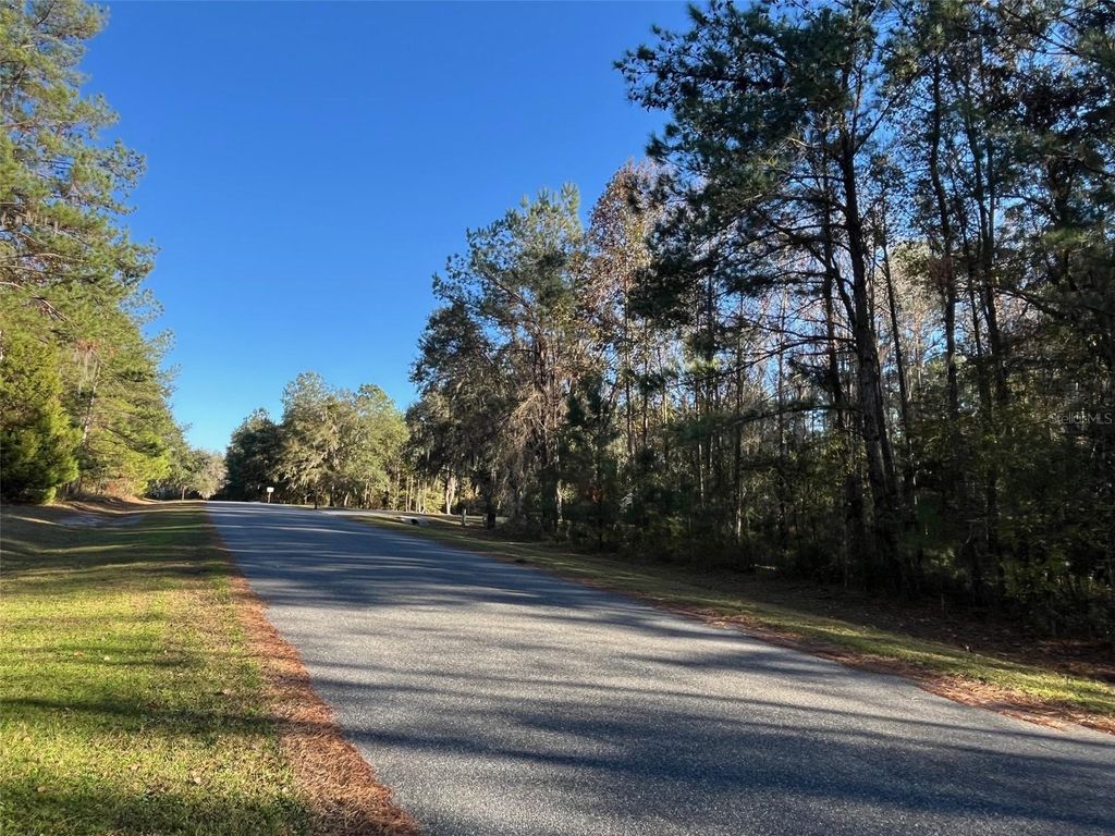 Image 3 of property listing at TBD NW 148 LANE, Williston, FL 32696