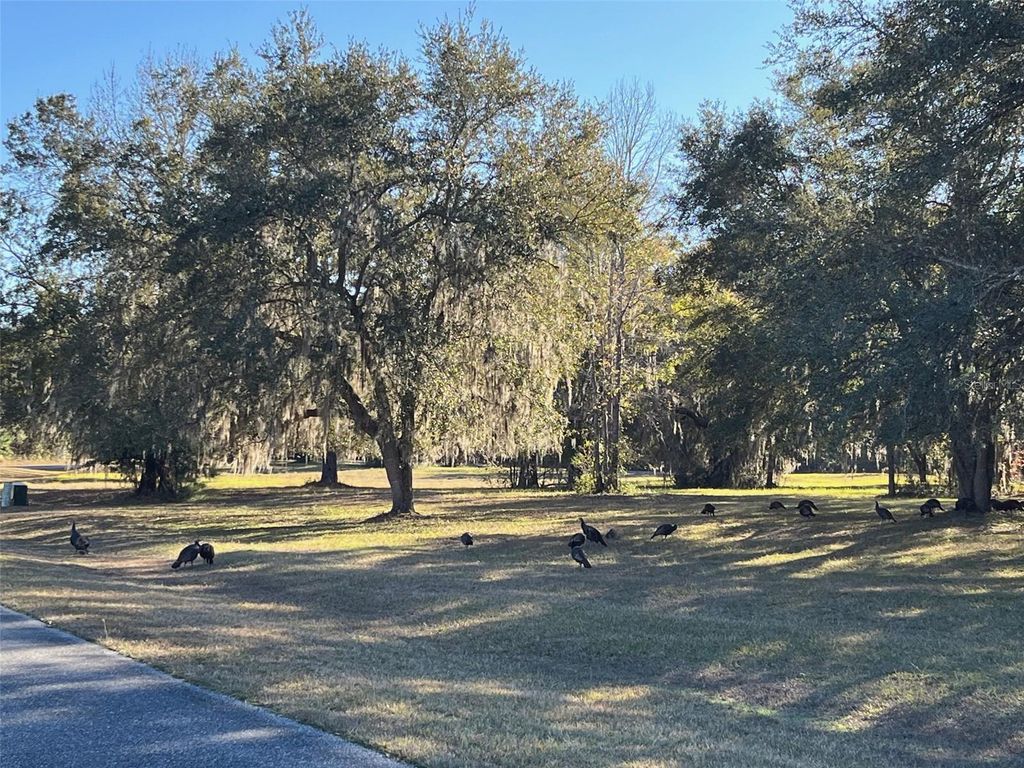 Image 5 of property listing at TBD NW 148 LANE, Williston, FL 32696