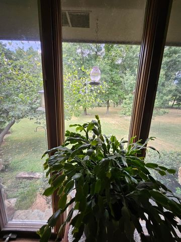 6333 S State Highway 125, Rogersville, MO 65742