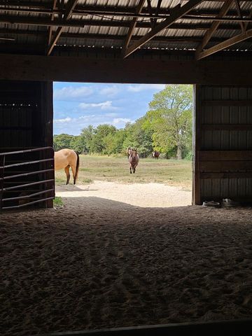 6333 S State Highway 125, Rogersville, MO 65742