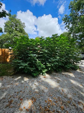 6333 S State Highway 125, Rogersville, MO 65742
