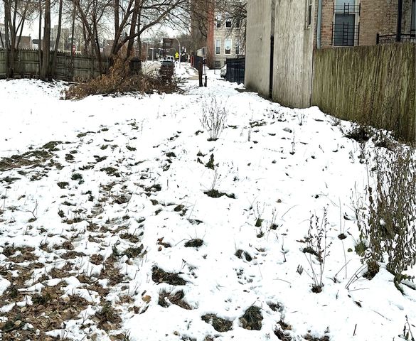 6340 S Greenwood Avenue, Chicago, IL 60637