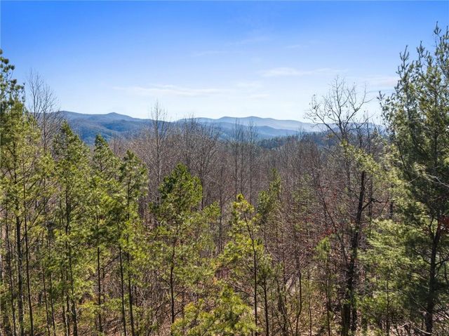 572 Left Turn, Blue Ridge, GA 30513