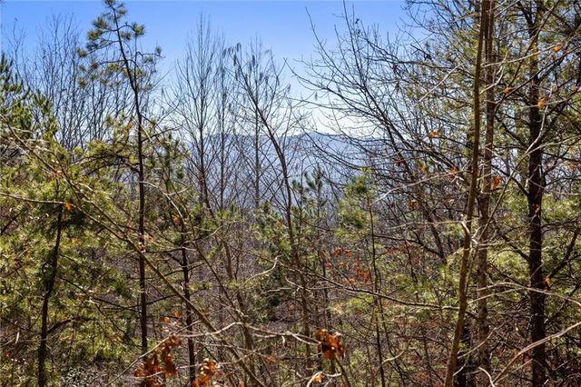 572 Left Turn, Blue Ridge, GA 30513