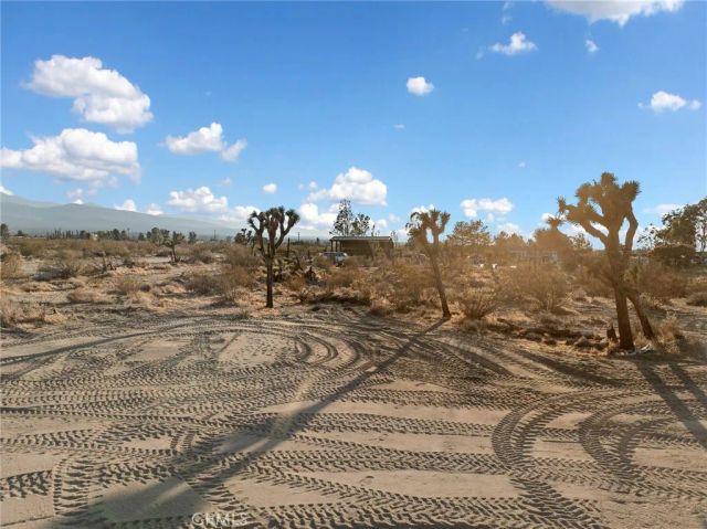 12526 Ponderosa Road, Pinon Hills, CA 92372