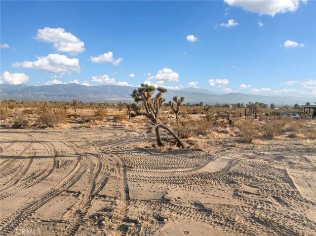 12526 Ponderosa Road, Pinon Hills, CA 92372