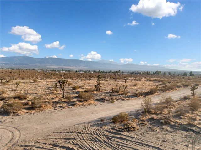 12526 Ponderosa Road, Pinon Hills, CA 92372