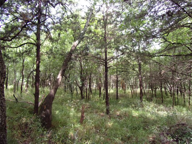 4188 Willow Oak Bend, Royse City, TX 75189