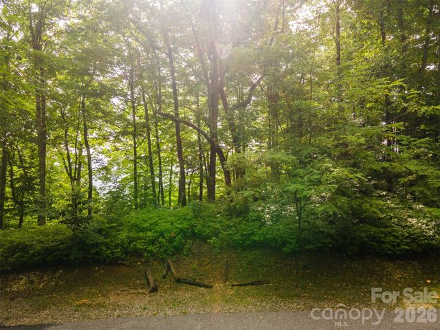 633 Steeplebush Court, Tuckasegee, NC 28783