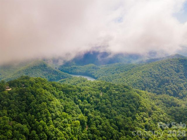 633 Steeplebush Court, Tuckasegee, NC 28783