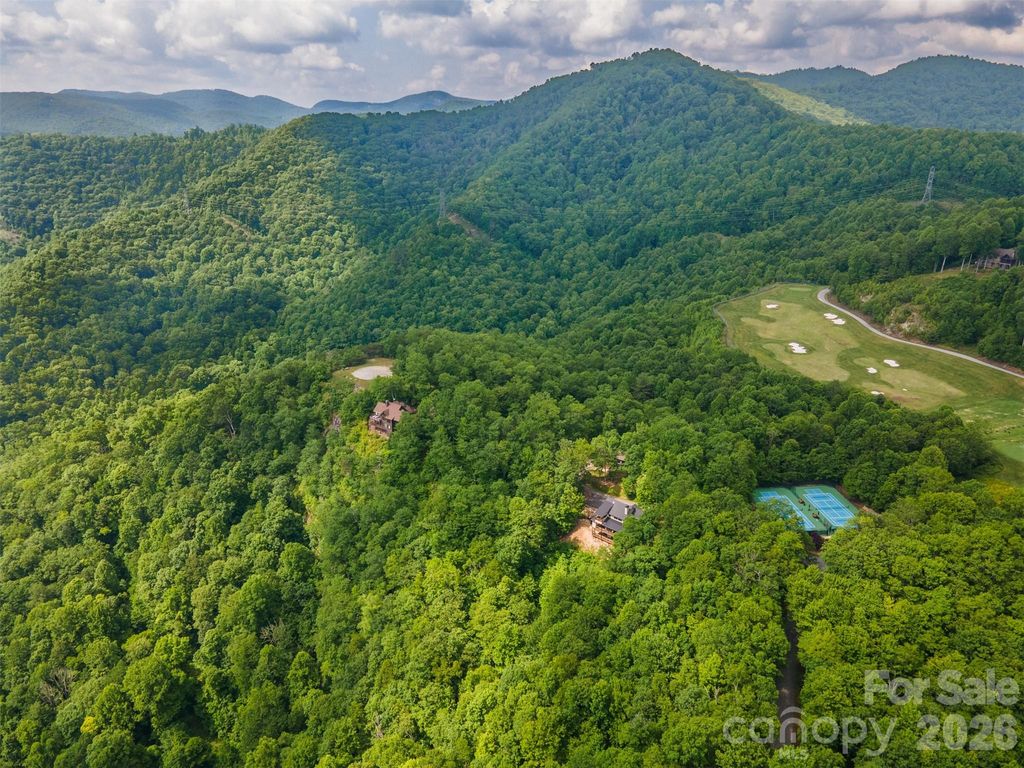 633 Steeplebush Court, Tuckasegee, NC 28783