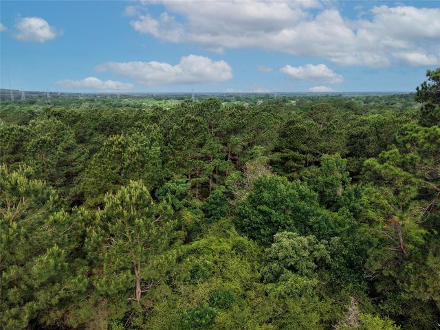 TBD Highway 90 N, Bedias, TX 77831