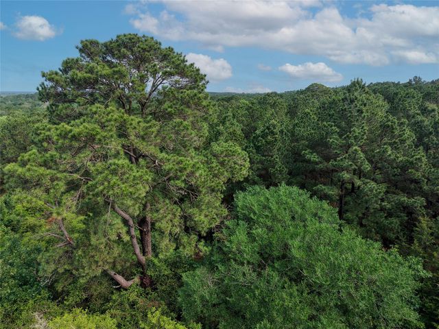 TBD Highway 90 N, Bedias, TX 77831