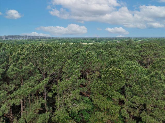 TBD Highway 90 N, Bedias, TX 77831