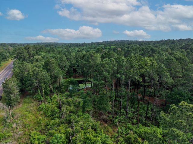 TBD Highway 90 N, Bedias, TX 77831