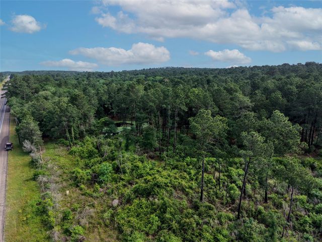 TBD Highway 90 N, Bedias, TX 77831