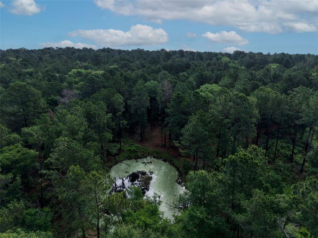 TBD Highway 90 N, Bedias, TX 77831