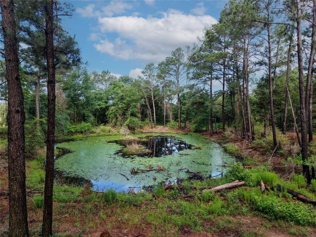 TBD Highway 90 N, Bedias, TX 77831