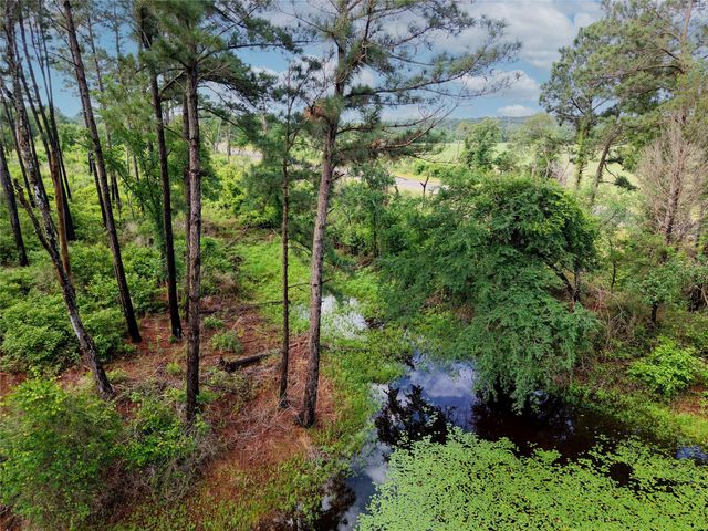 TBD Highway 90 N, Bedias, TX 77831