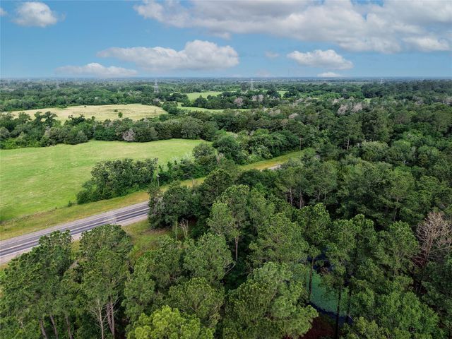 TBD Highway 90 N, Bedias, TX 77831