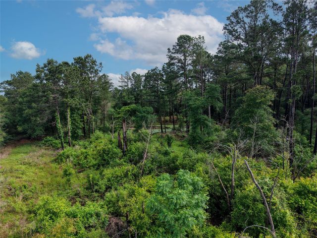 TBD Highway 90 N, Bedias, TX 77831