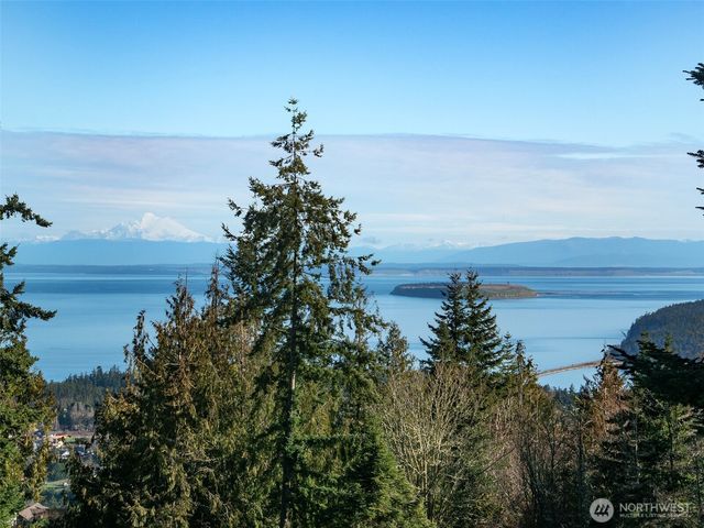 9999 Doe Run Road, Sequim, WA 98382