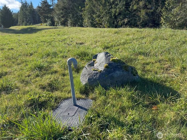 9999 Doe Run Road, Sequim, WA 98382