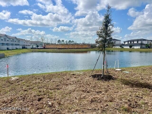 3555 PALOMINO Court, Middleburg, FL 32068