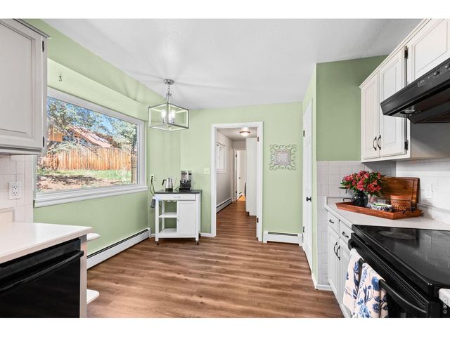 11053 Lindsey Rd, Conifer, CO 80433