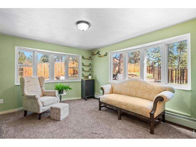 11053 Lindsey Rd, Conifer, CO 80433