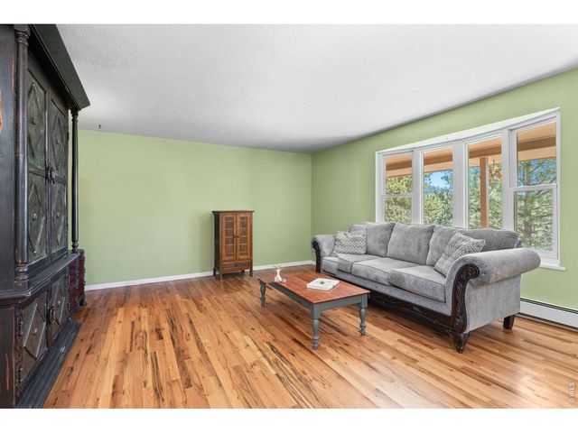 11053 Lindsey Rd, Conifer, CO 80433