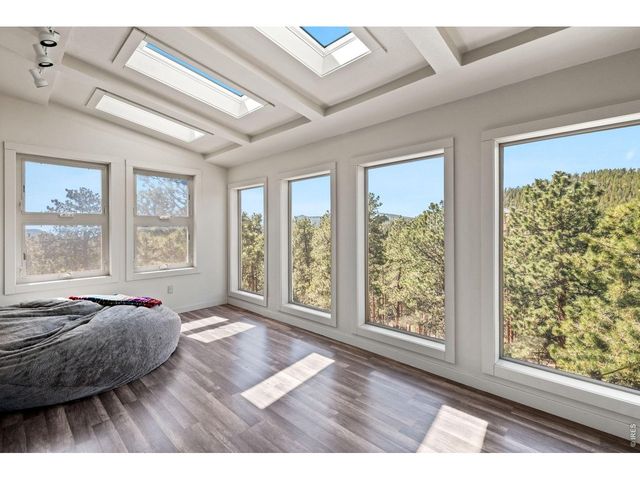 11053 Lindsey Rd, Conifer, CO 80433