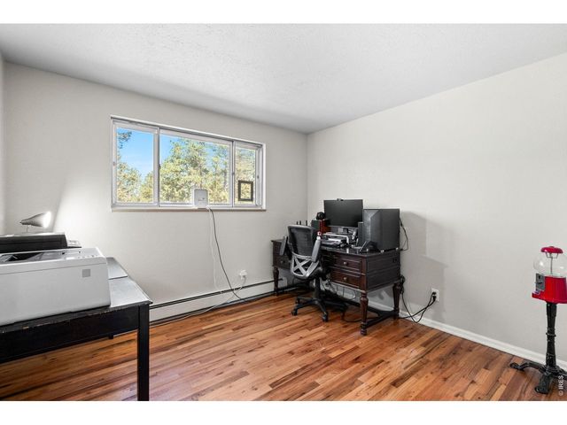 11053 Lindsey Rd, Conifer, CO 80433
