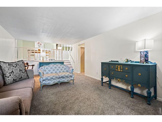 11053 Lindsey Rd, Conifer, CO 80433
