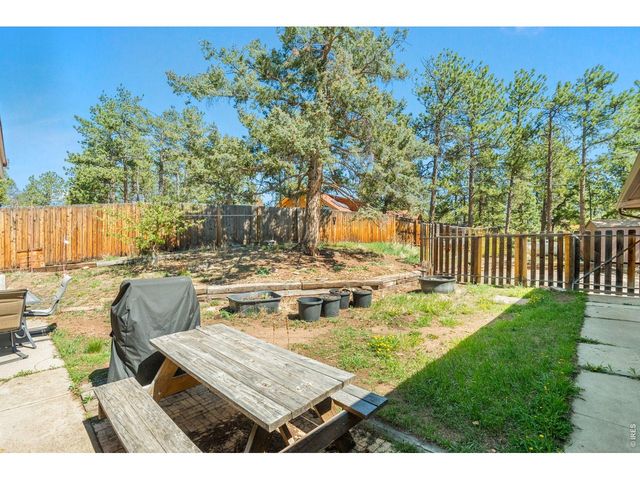 11053 Lindsey Rd, Conifer, CO 80433