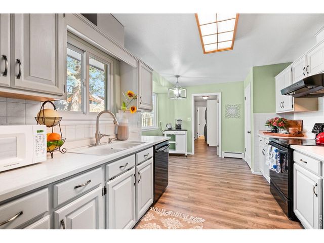 11053 Lindsey Rd, Conifer, CO 80433