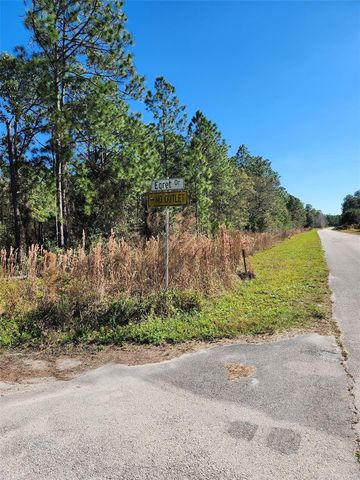 EGRET DRIVE, Frostproof, FL 33843