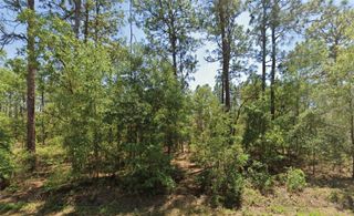 NW WATER OAK AVENUE, Dunnellon, FL 34431