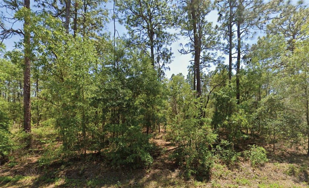 NW WATER OAK AVENUE, Dunnellon, FL 34431