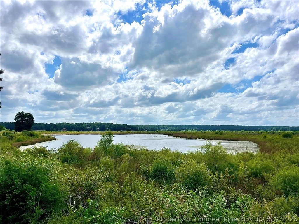 730 Blue Bird Drive, Vass, NC 28394 — photo 17
