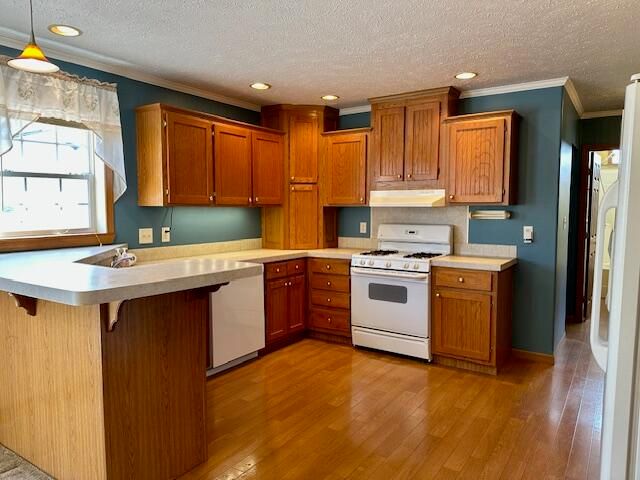 152 N Greenback Street, Hesperia Vlg-denvertwp, MI 49421