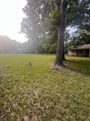 411 Richard Street, Coldspring, TX 77331